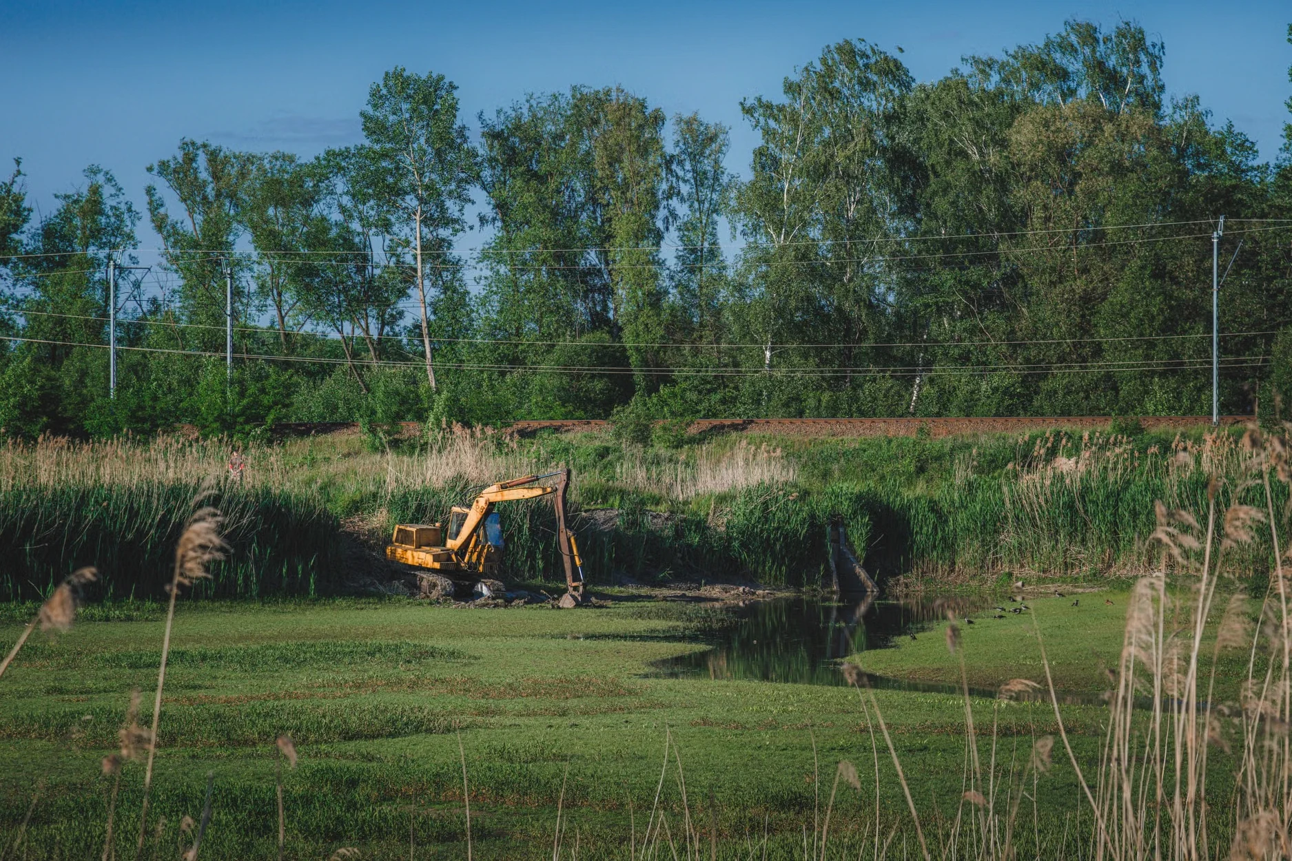Commercial Land Clearing in Birmingham, AL