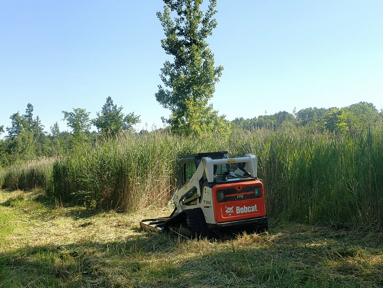 Residential Brush Clearing in Birmingham, AL